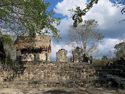 San Gervasio Ruinas on Cozumel &lt;a href=&gt;&lt;/a&gt; <a href=></a> <a href=></a>