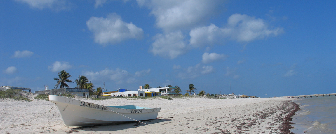 House on the Beach
