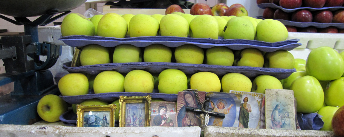 GMOs in Yucatan
